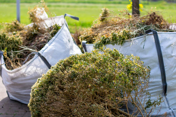 Best Dumpster Rental Services  in Lebanon, KY